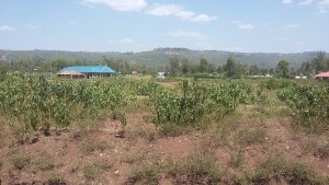 land in kisumu