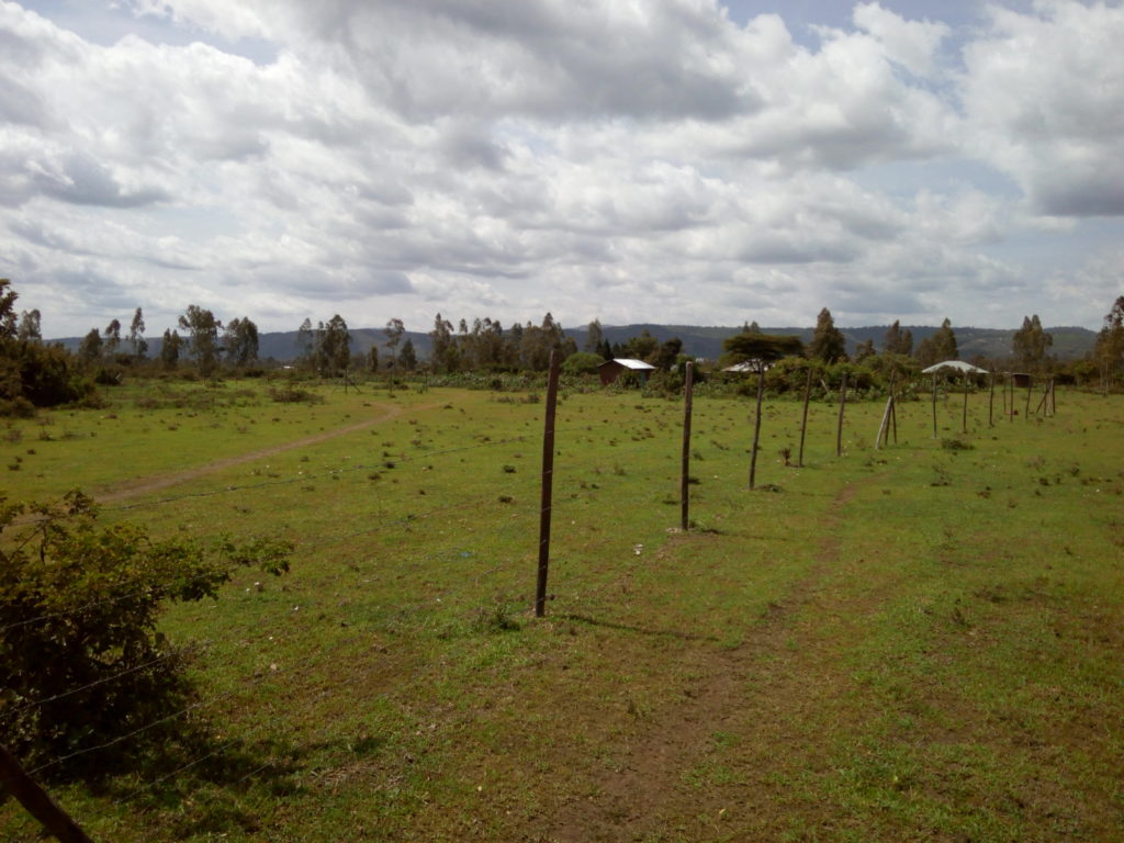 Land for sale in Kisumu