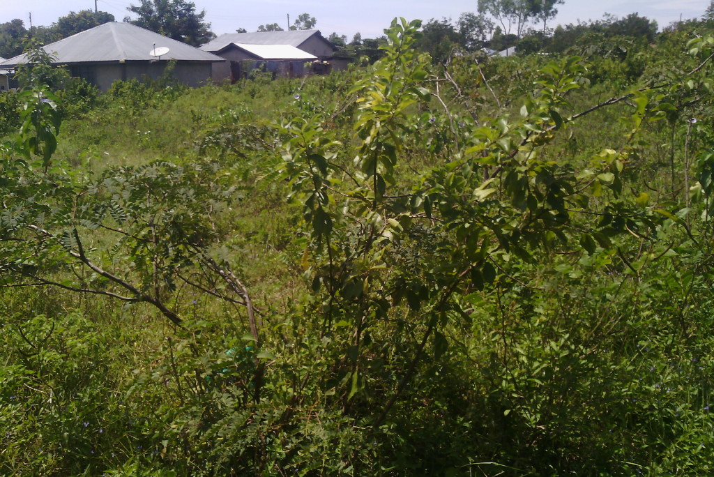 What you need to know about Land in Kisumu West Kenya Real Estate Ltd