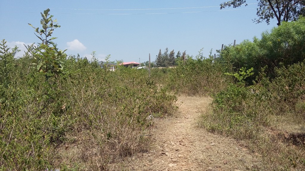 Siaya land for sale