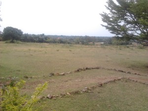 Mamboleo plot for sale