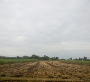 land in Awasi