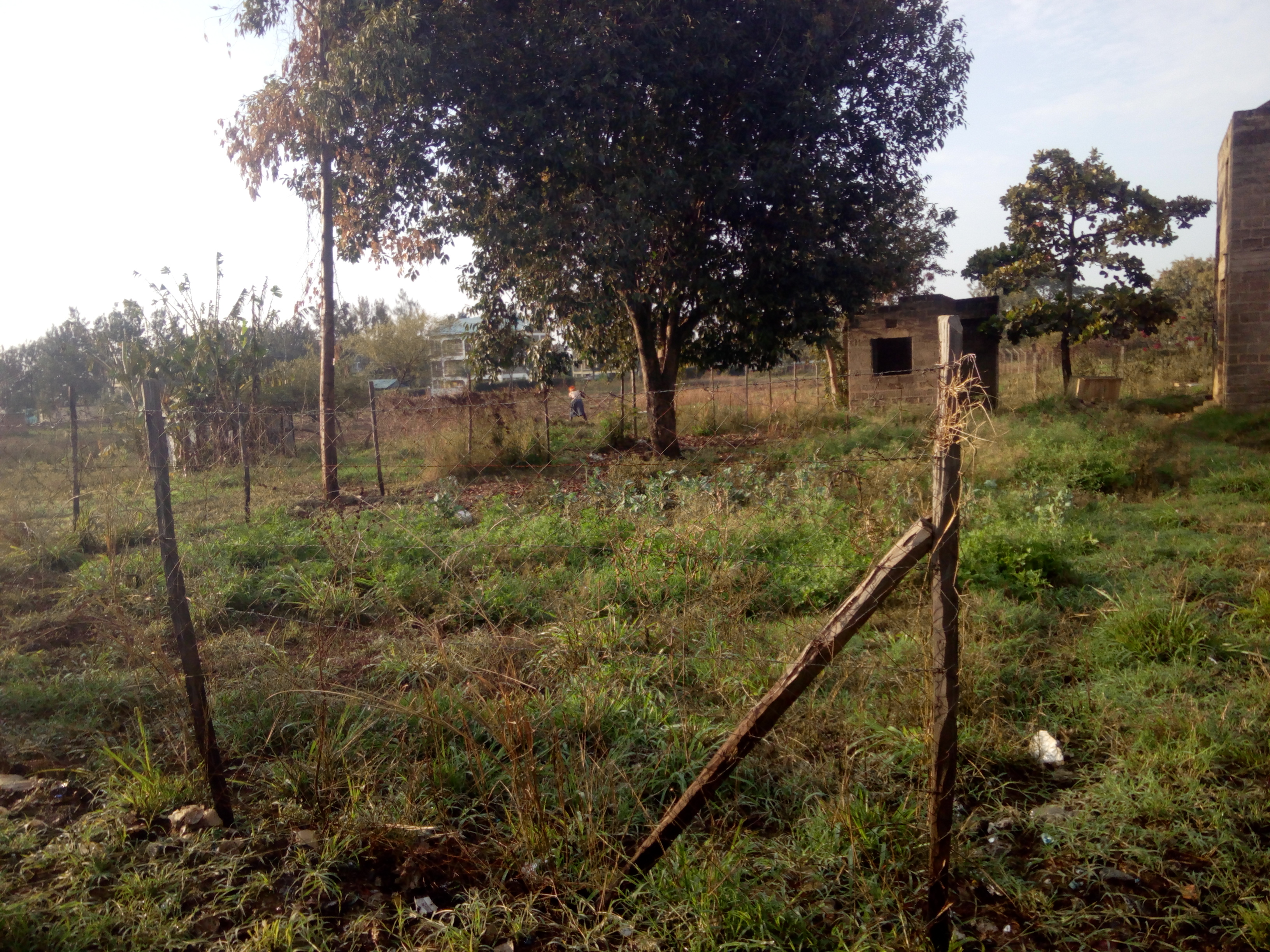 Kenya agricultural land for sale