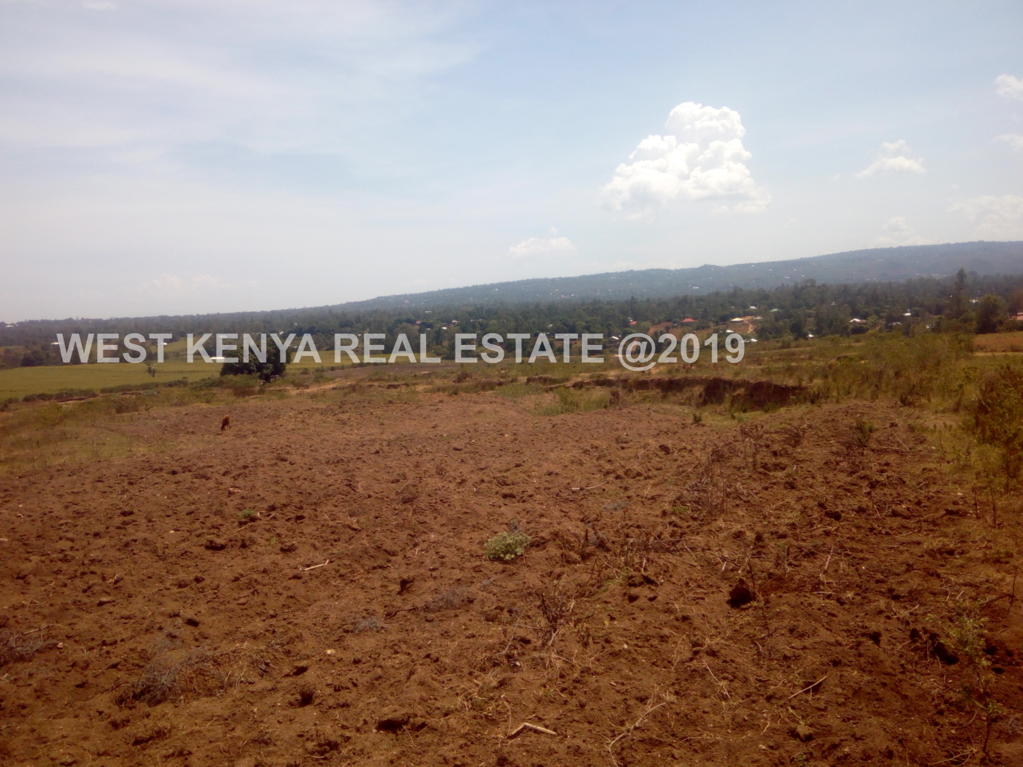 valuable plots for sale in Kisumu