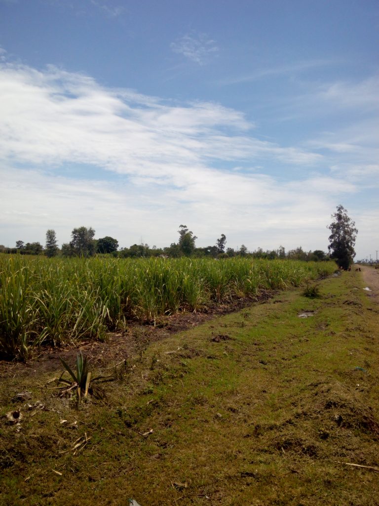 land for sale Kisumu