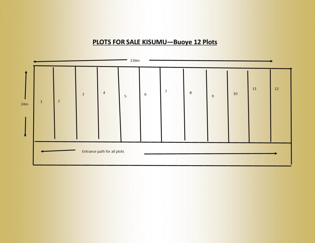 12 plots for sale kisumu