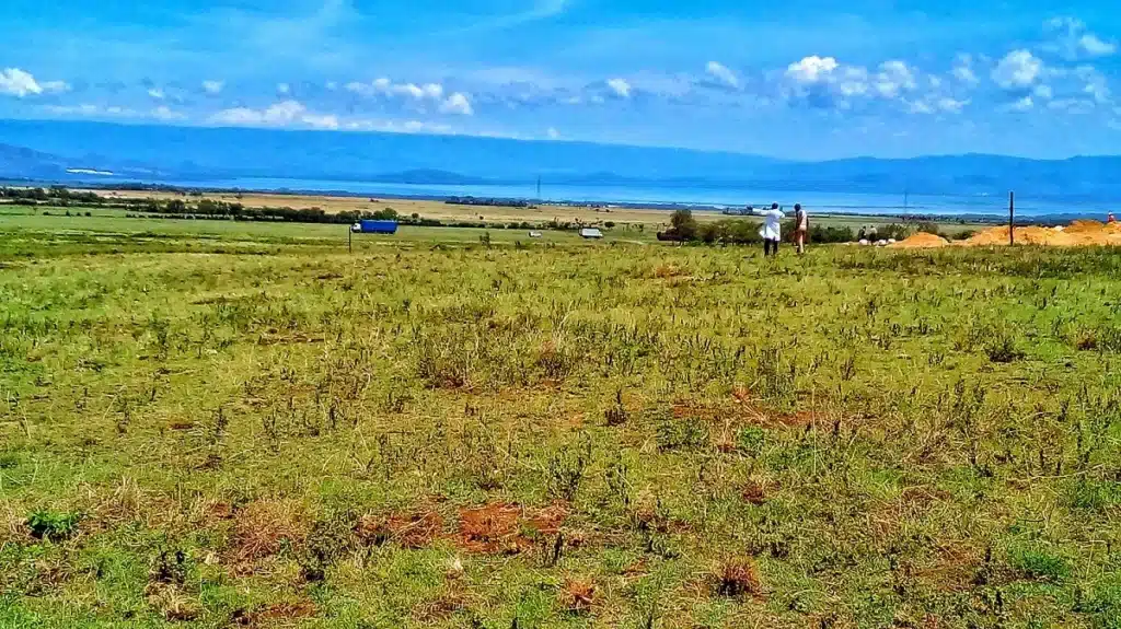 Land Ownership and Title Deeds in Kenya